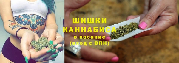 амф Бородино