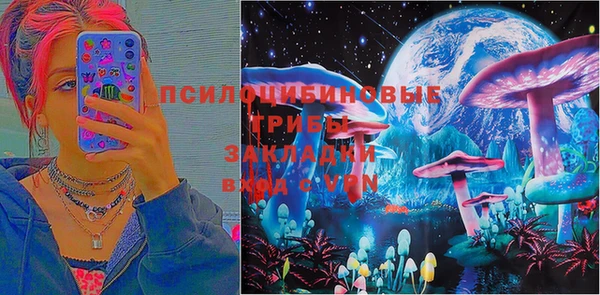 соль ск Верея